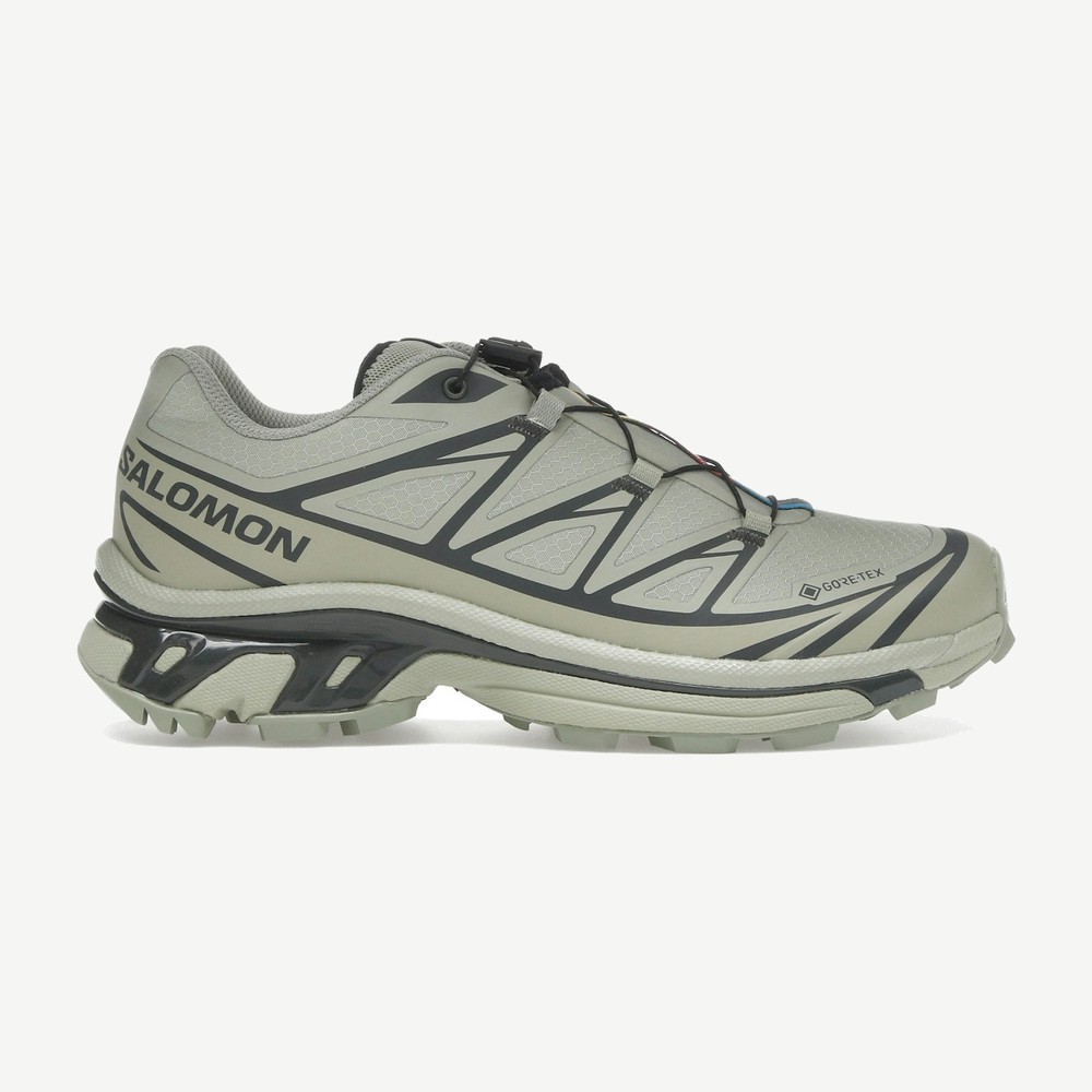Xt 6 Gore Tex Tea Peat