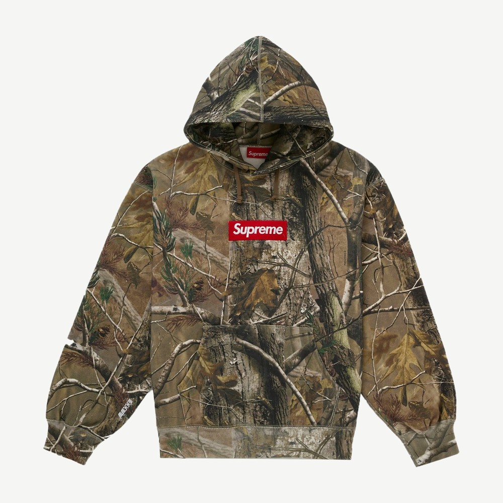 Box Logo Hooded Sweatshirt Fw25 Realtree Ap Camo